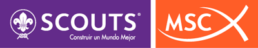 Scouts MSC